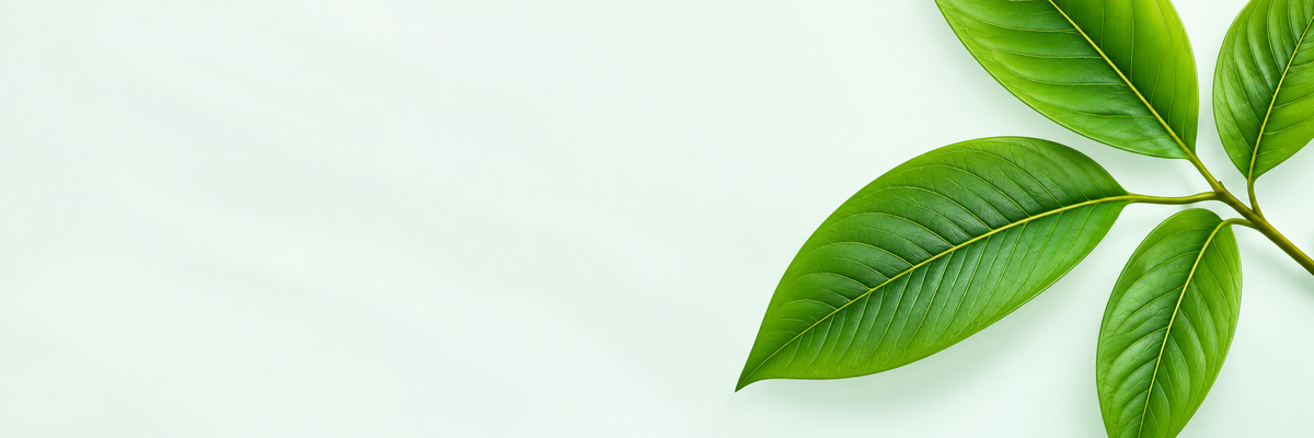 Custom Ingredient & Development Support