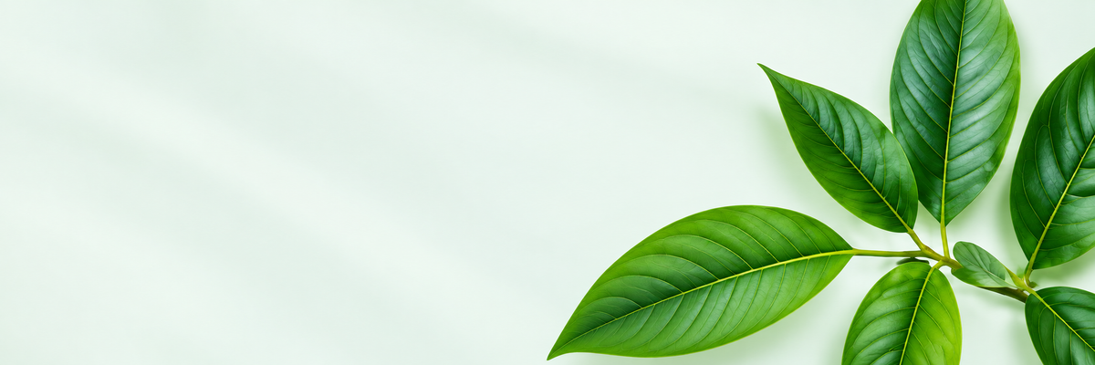 Let’s Develop Your Next Nutrition Concept.